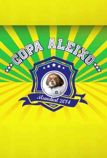 Copa Aleixo 2014