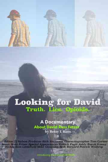 Looking for David Poster