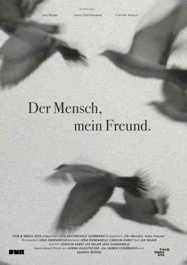 We Used to Be Friends.