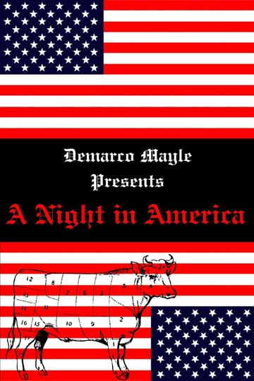 A Night in America Poster