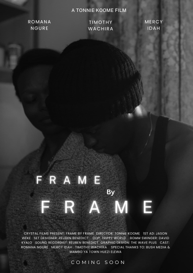 Frame By Frame Poster