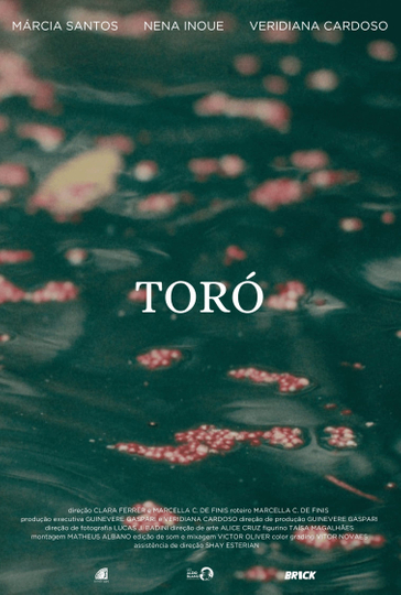 Toró Poster