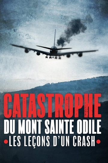 Les catastrophes du Mont Sainte-Odile, les leçons d'un crash