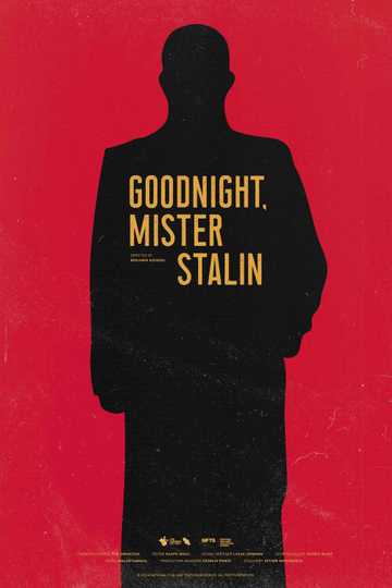 Goodnight, Mister Stalin Poster