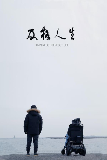 Imperfect Perfect Life