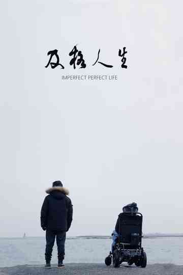 Imperfect Perfect Life
