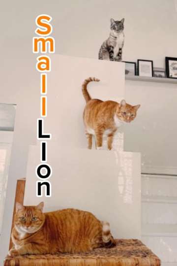 Small Lion Poster