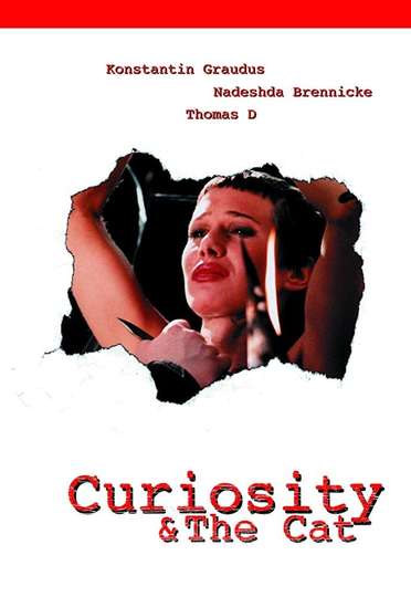 Curiosity  the Cat Poster