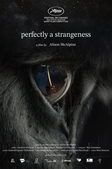 Perfectly A Strangeness