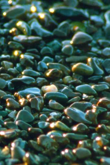 Jasper Beach and The Salt Marsh Poster