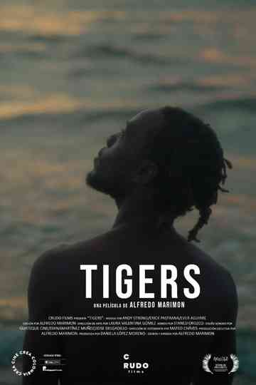 Tigers