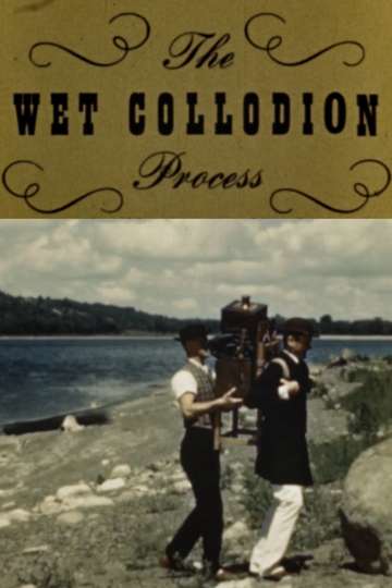 The Wet Collodion Process