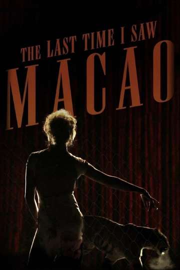 The Last Time I Saw Macao Poster