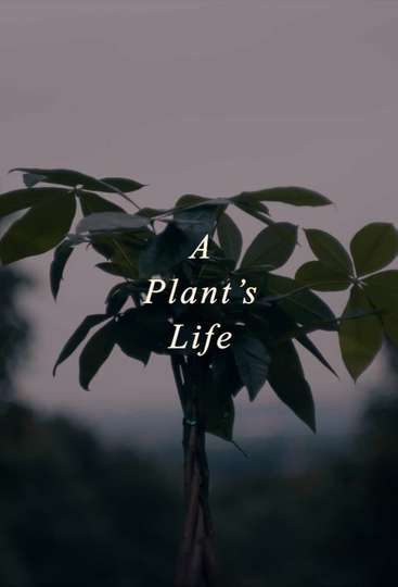 A Plant's Life Poster