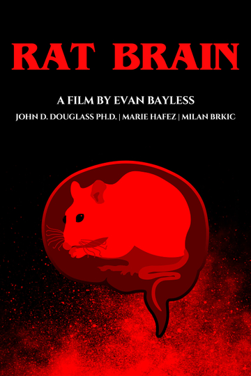 Rat Brain Poster