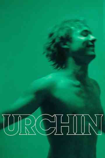 Urchin