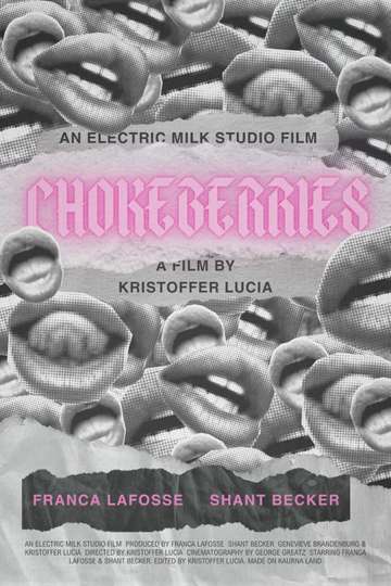 Chokeberries Poster