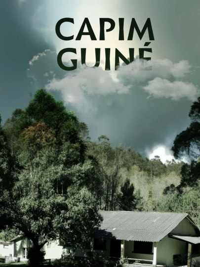 Capim Guiné Poster