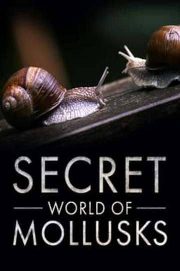 Secret World of Mollusks Poster