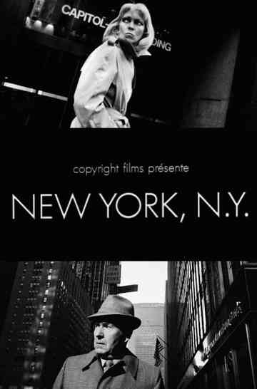 New York, N.Y. Poster