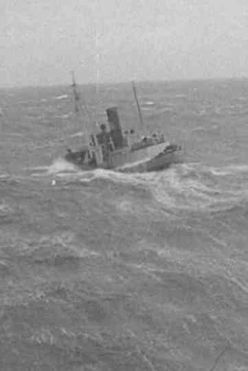 The Big Game of the Sea