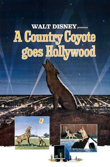 A Country Coyote Goes Hollywood