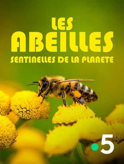 Les abeilles, sentinelles de la planète