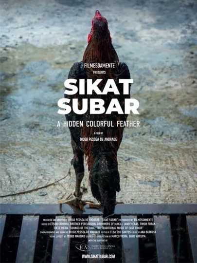 Sikat Subar - A Hidden Colorful Feather