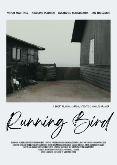 Running Bird Poster