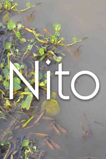 Nito