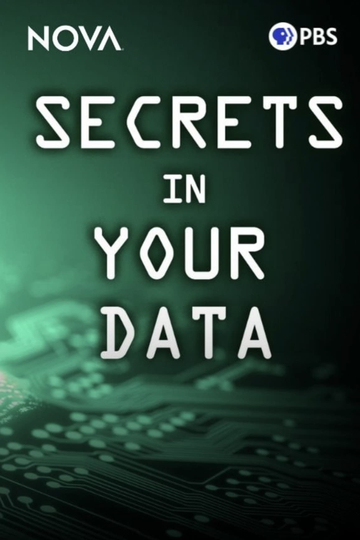 Secrets in Your Data Poster