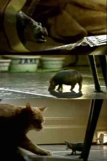 North American House Hippo Poster