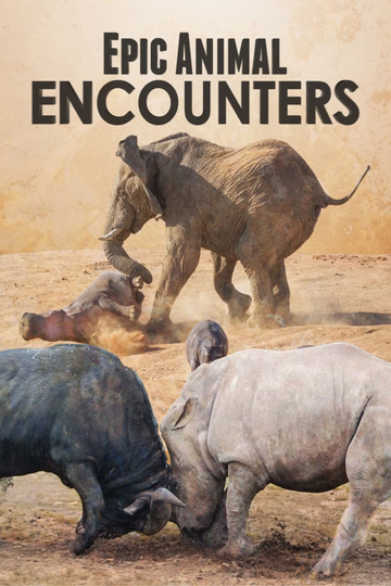 Epic Animal Encounters