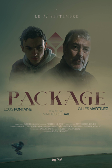 PACKAGE