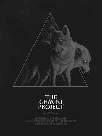 The Gemini Project