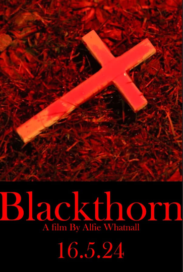 Blackthorn Poster