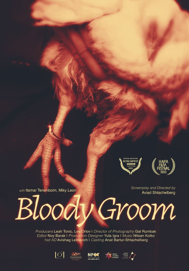 Bloody Groom