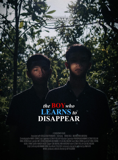 The Boy who Learns to Disappear Poster