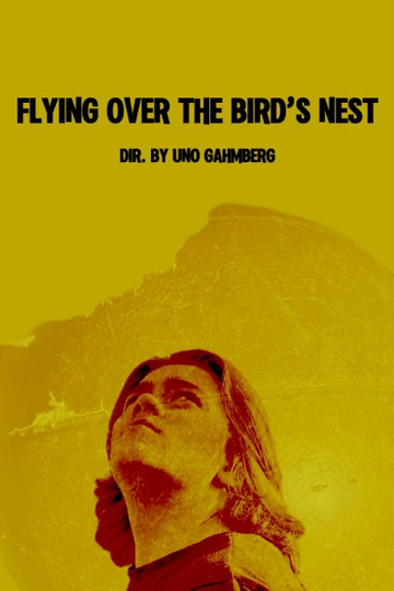 Flying Over The Bird's Nest Poster
