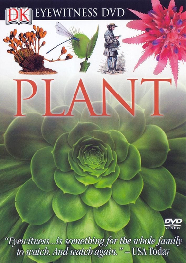 Eyewitness Plant