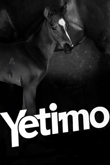 Yetimo Poster