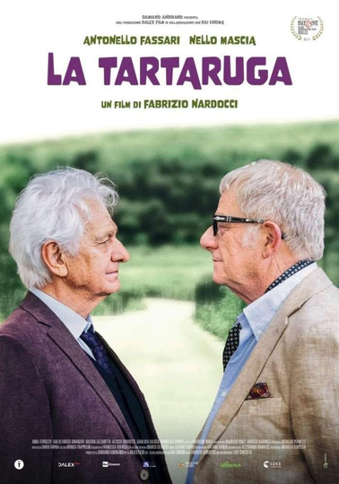 La tartaruga Poster