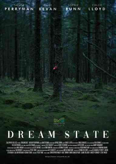Dream State Poster
