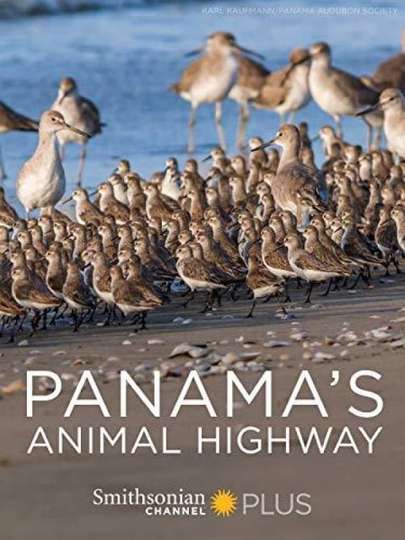 Panama's Animal Highway Poster