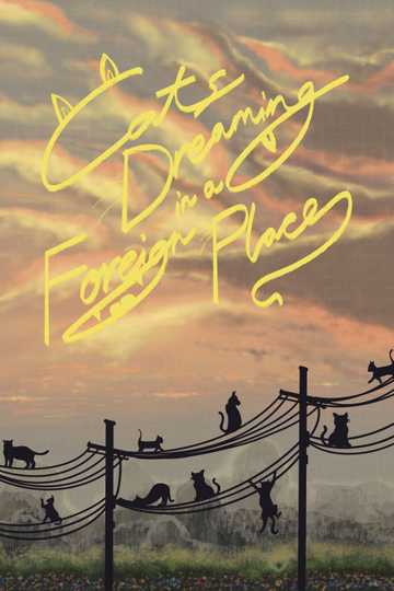 Cats Dreaming in a Foreign Place Poster