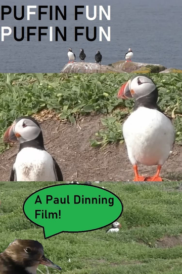 Puffin Fun