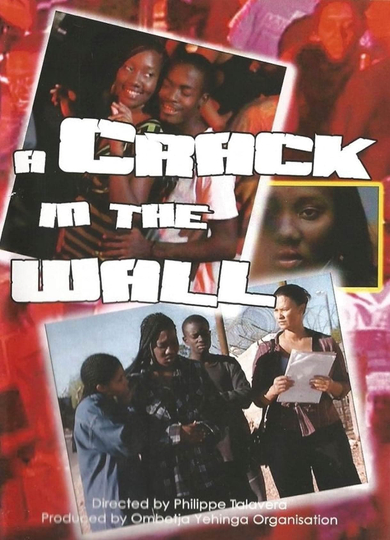 A Crack in the Wall Poster