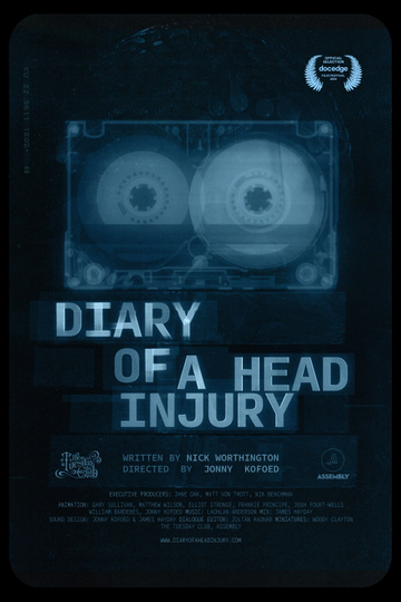 Diary of a Head Injury