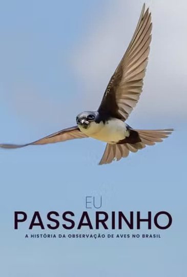 Eu Passarinho