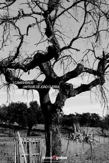 3 Caminheiros Poster
